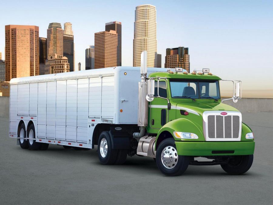  Peterbilt 335 HE 2008 года  (фото 1 из 4)